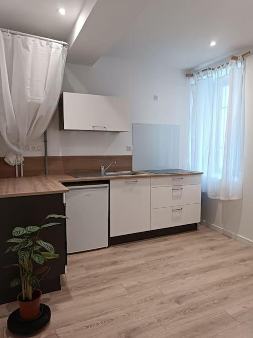 Appartamento T2 Ultra Cosy En Hypercentre Tarare Esterno foto